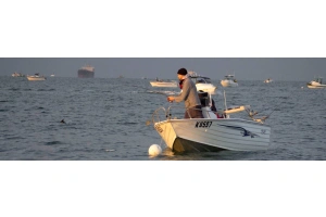 Mastering Snapper Fishing