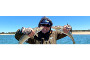 Catching King Whiting 