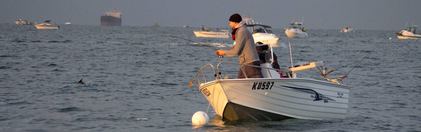 Mastering Snapper Fishing