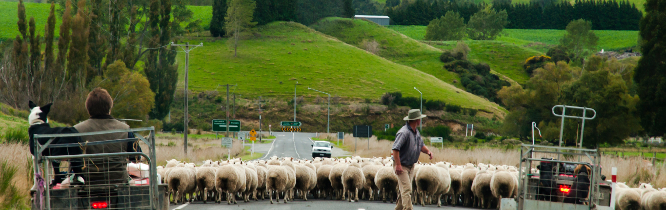 Gear Guide: The Benefits of Merino